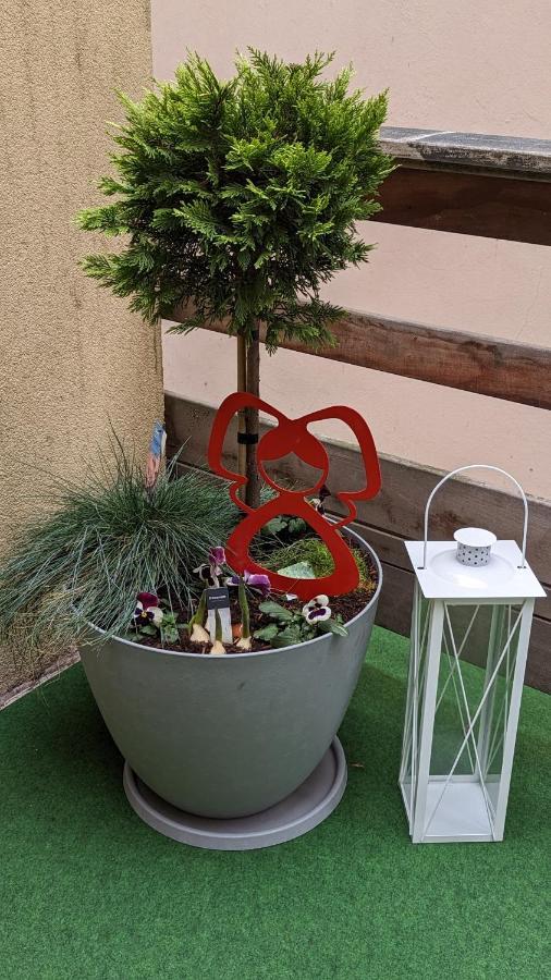 Appartement Chez Mar'Tine Niederbronn-les-Bains Exteriér fotografie
